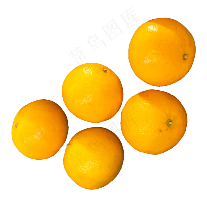 新鲜水果橙子(2500X2500(DPI:300))