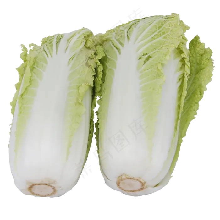 食材大白菜(3000X4500(DPI:300))