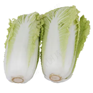食材大白菜 食材大白菜