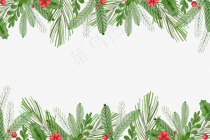 水彩圣诞树枝背景