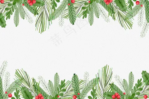 水彩圣诞树枝背景