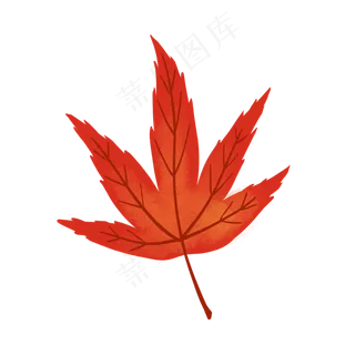秋季落叶枫叶