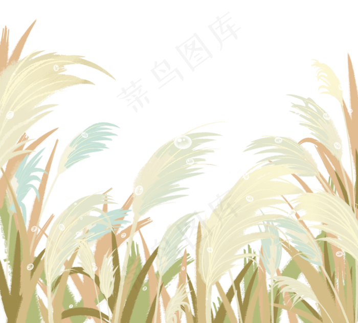 芦苇植物白露(3545X3203(DPI:300))psd模版下载