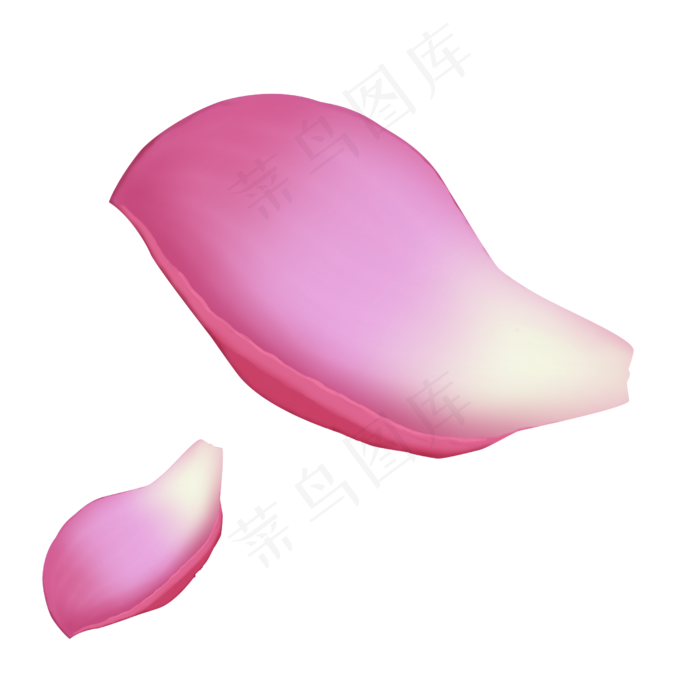 紫色花瓣边沿中秋