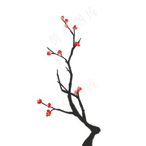 一枝冬季冬日里的红梅花