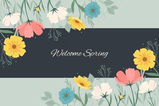 平面细节色彩丰富的春天背景