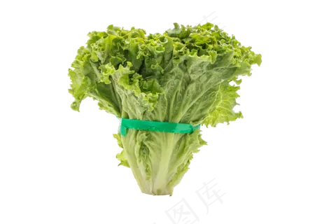 绿色蔬菜生菜 绿色蔬菜生菜