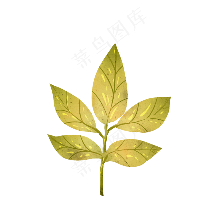 秋天秋叶落叶枫叶手绘素材