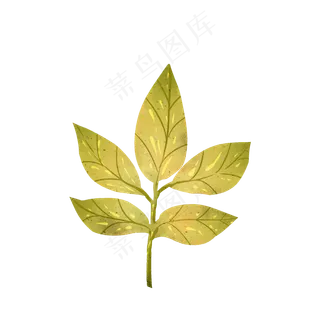 秋天秋叶落叶枫叶手绘素材