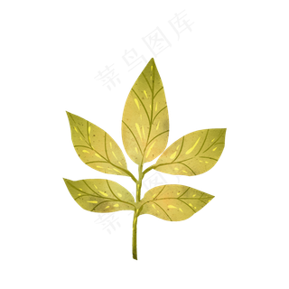 秋天秋叶落叶枫叶手绘素材