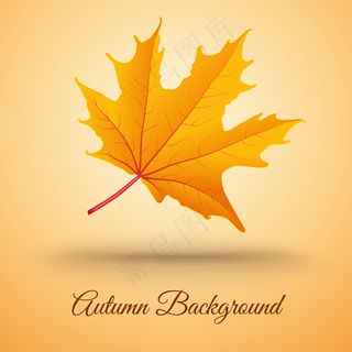 抽象背景秋叶