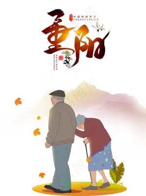 重阳佳节赏菊花老人