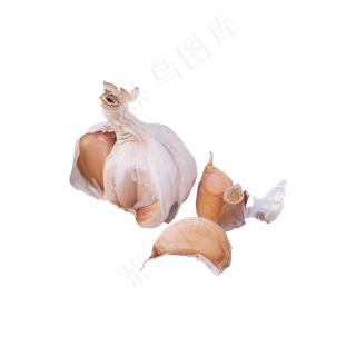 大蒜实拍（png免抠）