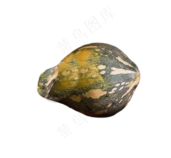 角瓜蔬菜 角瓜蔬菜