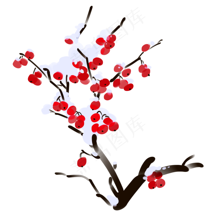 手绘落雪的梅花插画