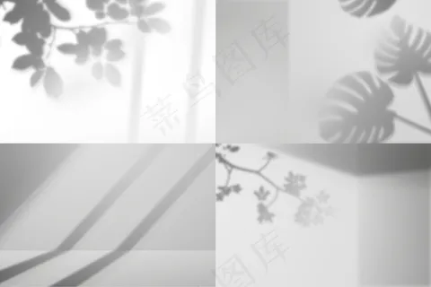 摄影编辑器程序阴影覆盖效果与植物