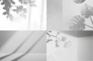 摄影编辑器程序阴影覆盖效果与植物