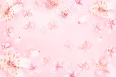 樱花背景不集中