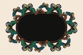 复古绿色蝴蝶图案矢量框架，由乔治·肖从博物学家的杂项中重新混合