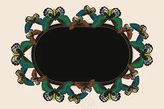 复古绿色蝴蝶图案矢量框架，由乔治·肖从博物学家的杂项中重新混合