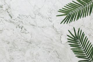 大理石纹理背景上的棕榈树