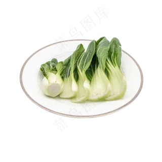 绿色蔬菜油菜 绿色蔬菜油菜