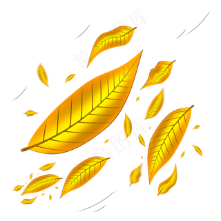 被风吹落的金黄色树叶