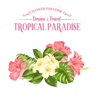 白色背景上的热带花。矢量插图。