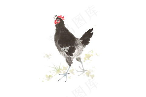 水墨中国风工笔画高清免扣素材-鸡
