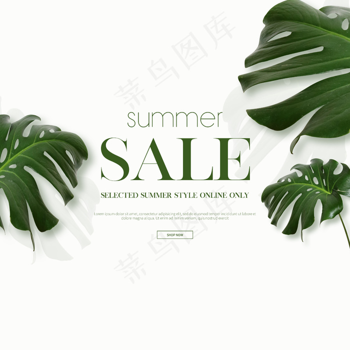 夏季销售框架和背景