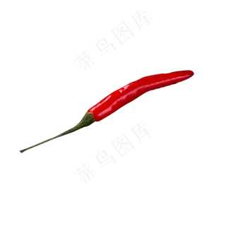 红色光泽辣椒食物元素