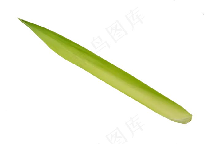 绿色新鲜竹笋(2000X2000(DPI:300))