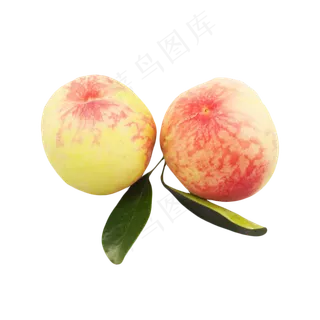 黄桃水果食物