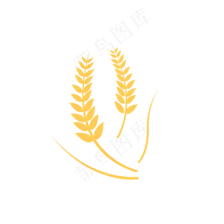 金黄色小麦矢量素材
