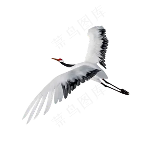 仿真飞行白鹤png图,免抠元素