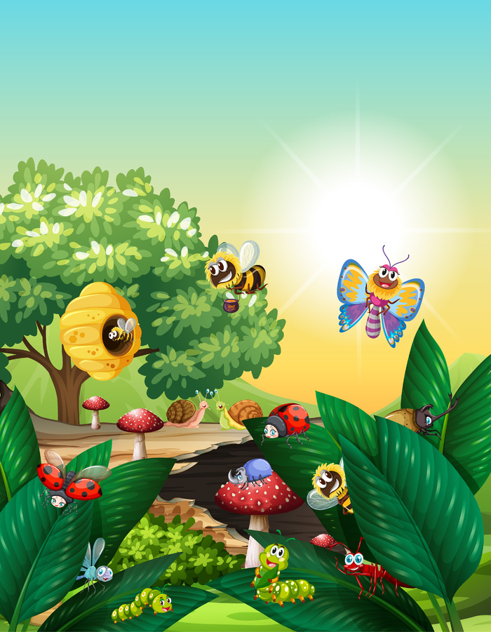 白天生活在花园场景中的不同昆虫