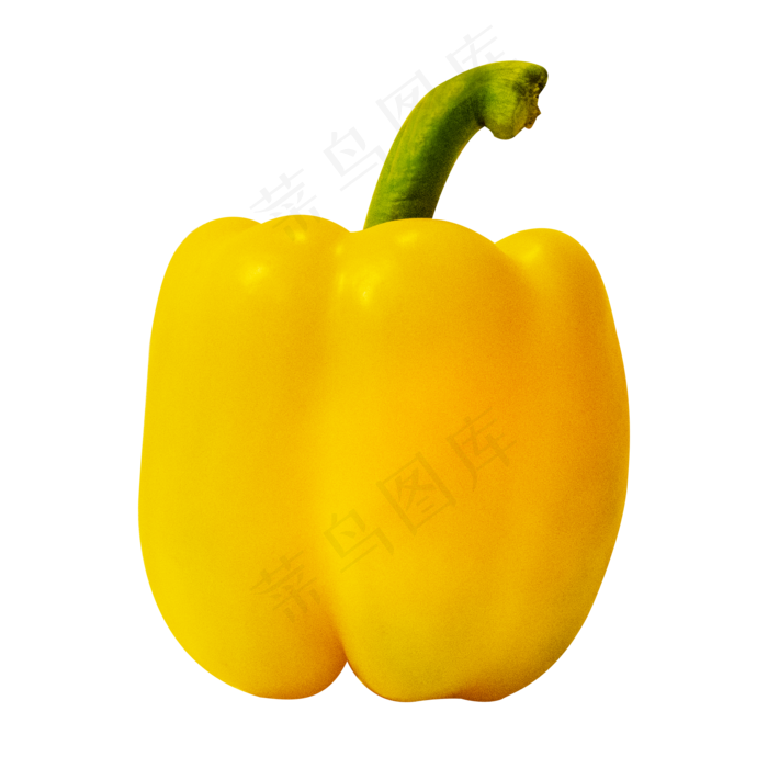 黄色灯笼椒(2000X2000(DPI:299))