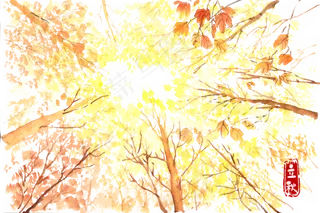 立秋高耸入云的树木