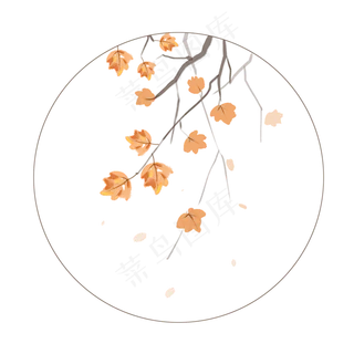 植物二十四节气立秋