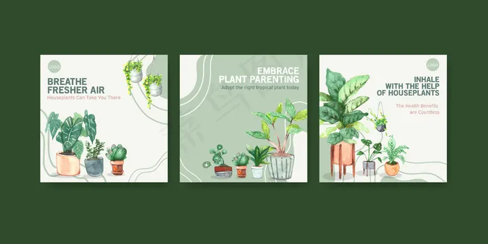 夏季植物和室内植物广告模板设计水彩插画