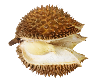 棕色榴莲水果