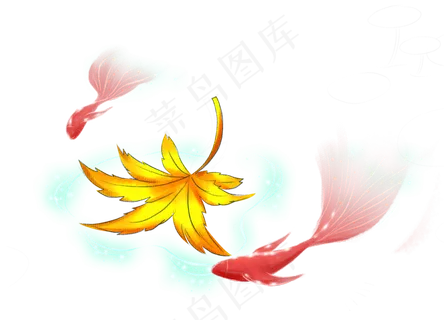 鱼儿秋天立秋水上枫叶