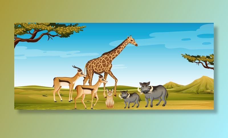 动物园场景中的一群非洲野生动物