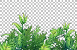 透明背景上的各种热带树叶