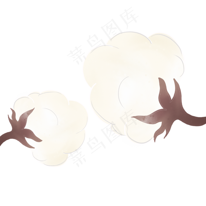 农作物棉花插画矢量图