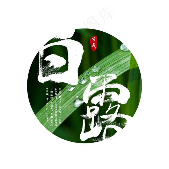 白露 二十四节气(2000X2000(DPI:150))psd模版下载