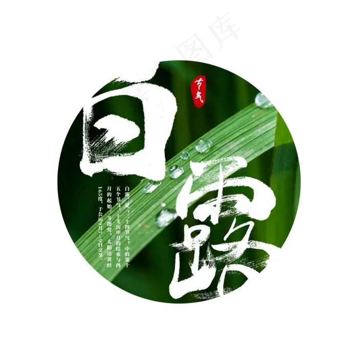 白露 二十四节气(2000X2000(DPI:150))psd模版下载