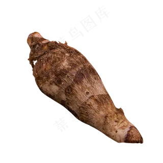 灰色真实芋头食物元素