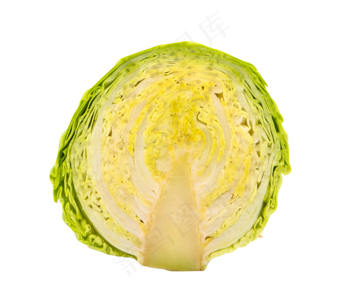 半块蔬菜白菜