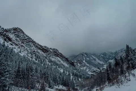 深灰色天空下雪山云杉林的高角度拍摄 深灰色天空下雪山云杉林的高角度拍摄